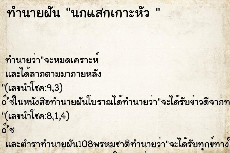 ทำนายฝันทำนายฝันนกแสกเกาะหัว